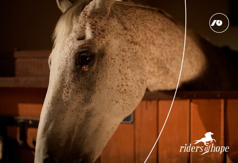 Konj koji liječi  - Konj koji liječi uz vas može dati i više od sebe